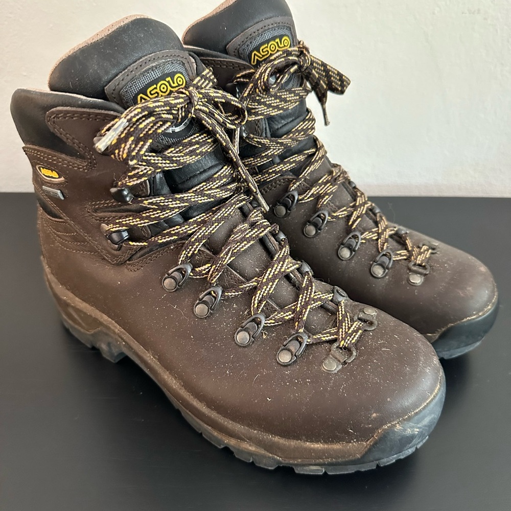 Asolo Men's Dark Brown Outdoor Boots